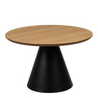 Soli 65cm wide coffee table - YANDZ HOME