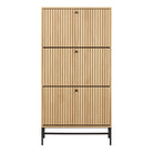 Aldwyn Shoe Cabinet 3 Flip Down Doors - YANDZ HOME
