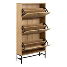 Aldwyn Shoe Cabinet 3 Flip Down Doors - YANDZ HOME