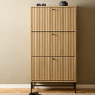 Aldwyn Shoe Cabinet 3 Flip Down Doors - YANDZ HOME