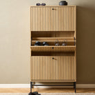 Aldwyn Shoe Cabinet 3 Flip Down Doors - YANDZ HOME